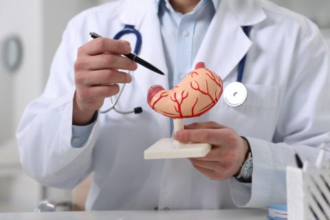 Médico enseñando cómo funcionan los remedios caseros para el ardor estomacal.